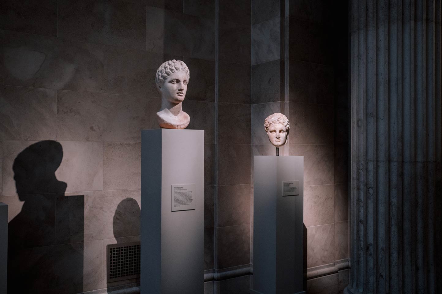 Two marble busts from ancient Greece on rectangular pedestals
